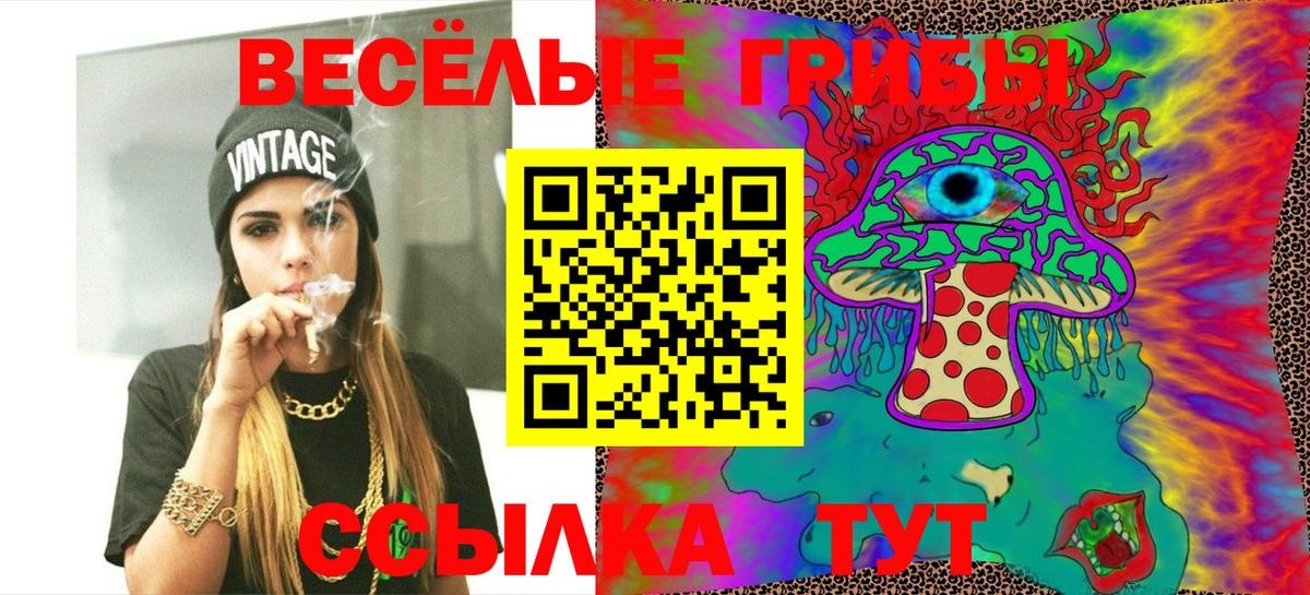 Пенза  Галлюциногенные грибы мицелий  Вход с VPN 